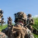 Fuji Viper 26.3 | U.S. Marines Conduct Live-Fire Platoon Attacks
