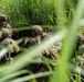 Fuji Viper 26.3 | U.S. Marines Conduct Live-Fire Platoon Attacks