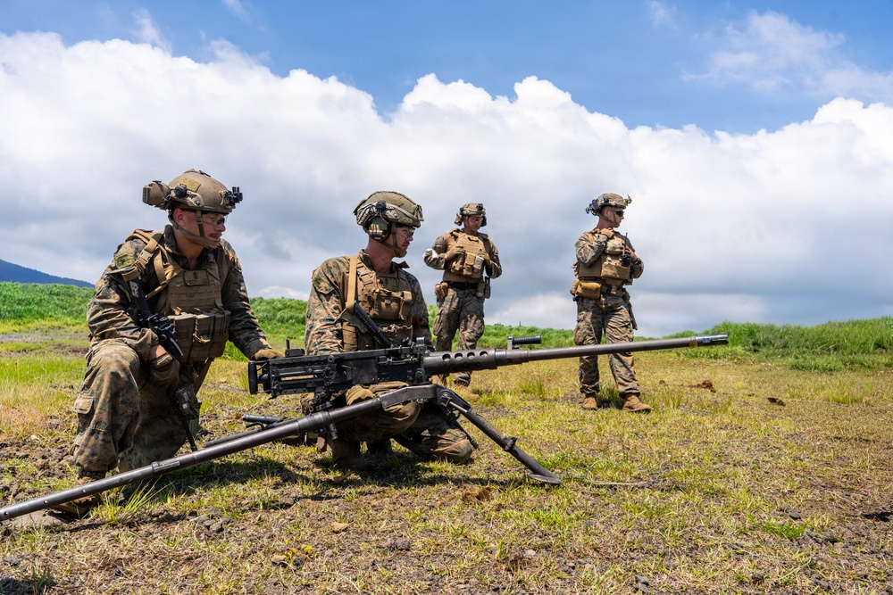Fuji Viper 26.3 | U.S. Marines Conduct Live-Fire Platoon Attacks