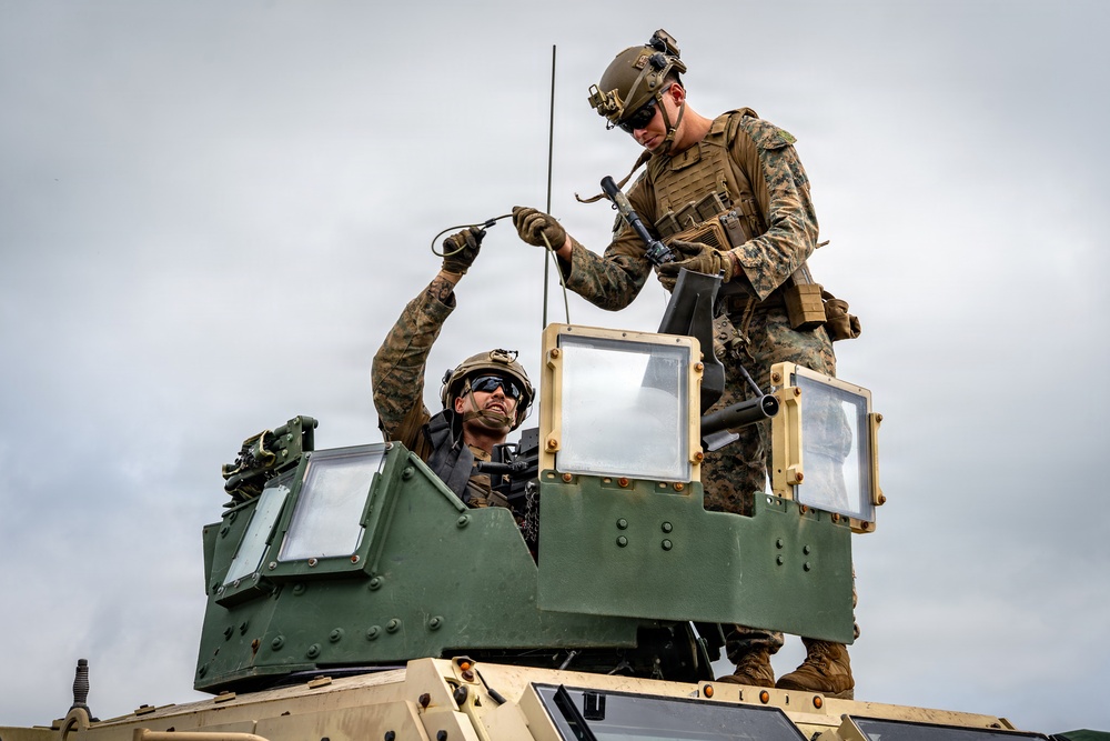 Fuji Viper 26.3 | U.S. Marines Conduct M41A7 Saber and Mk 19 Live-Fire Training