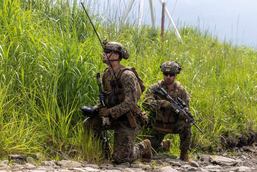 Fuji Viper 26.3 | U.S. Marines Conduct M41A7 Saber and Mk 19 Live-Fire Training