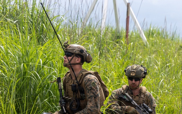 Fuji Viper 26.3 | U.S. Marines Conduct M41A7 Saber and Mk 19 Live-Fire Training