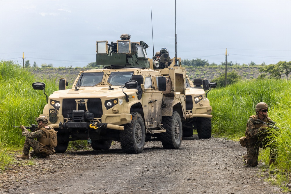 Fuji Viper 26.3 | U.S. Marines Conduct M41A7 Saber and Mk 19 Live-Fire Training