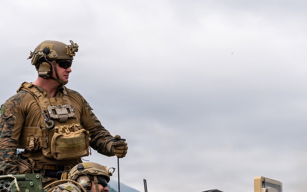 Fuji Viper 26.3 | U.S. Marines Conduct M41A7 Saber and Mk 19 Live-Fire Training