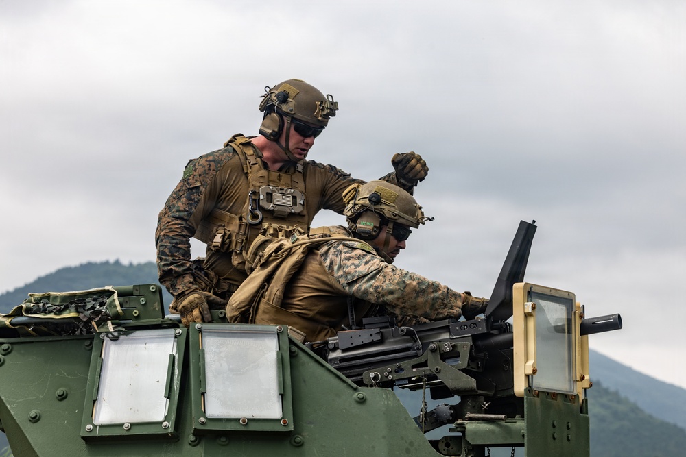 Fuji Viper 26.3 | U.S. Marines Conduct M41A7 Saber and Mk 19 Live-Fire Training