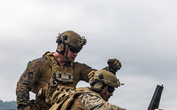 Fuji Viper 26.3 | U.S. Marines Conduct M41A7 Saber and Mk 19 Live-Fire Training