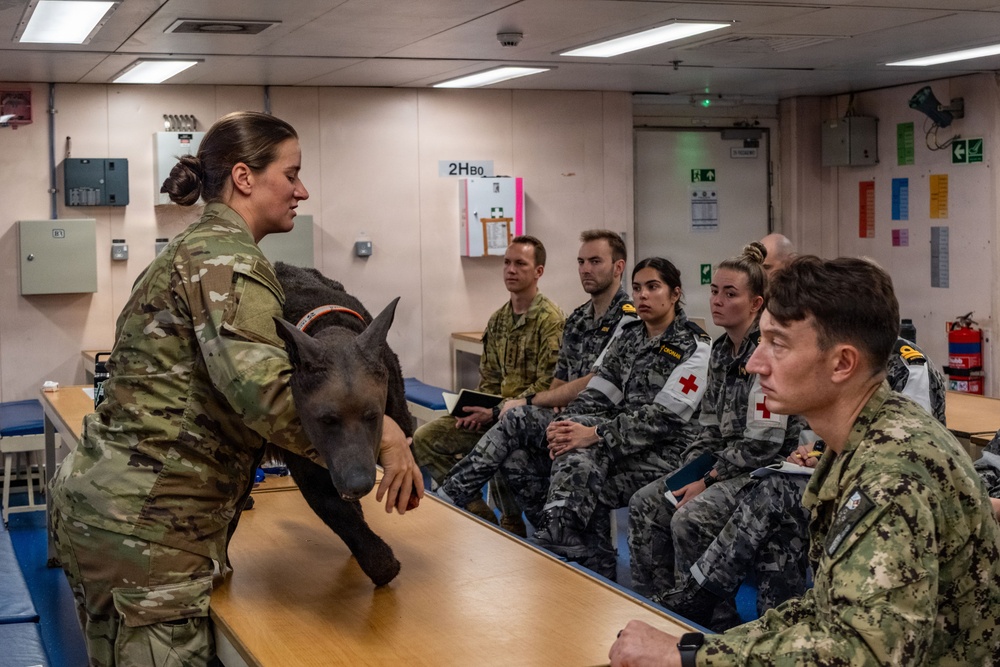 Pacific Partnership 2026 veterinarian conducts canine TCCC training aboard Royal Australian Navy HMAS Choules (L100)