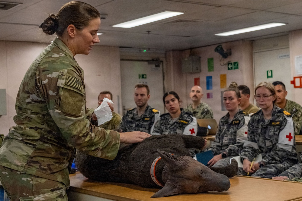 Pacific Partnership 2026 veterinarian conducts canine TCCC training aboard Royal Australian Navy HMAS Choules (L100)