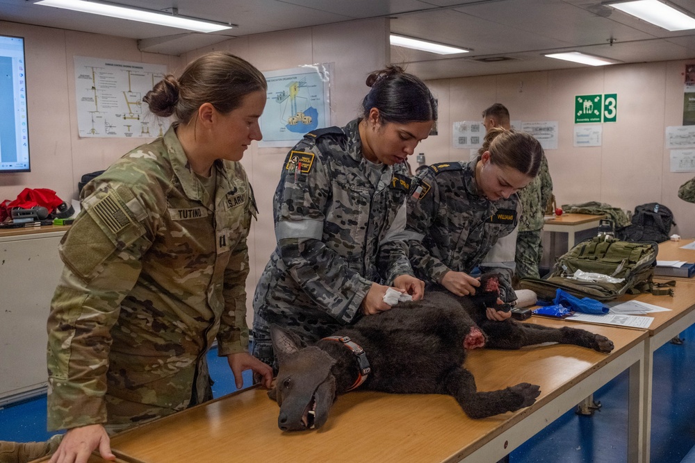 Pacific Partnership 2026 veterinarian conducts canine TCCC training aboard Royal Australian Navy HMAS Choules (L100)