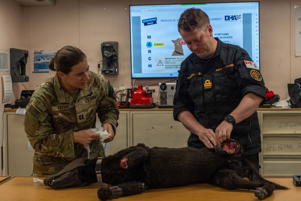 Pacific Partnership 2026 veterinarian conducts canine TCCC training aboard Royal Australian Navy HMAS Choules (L100)