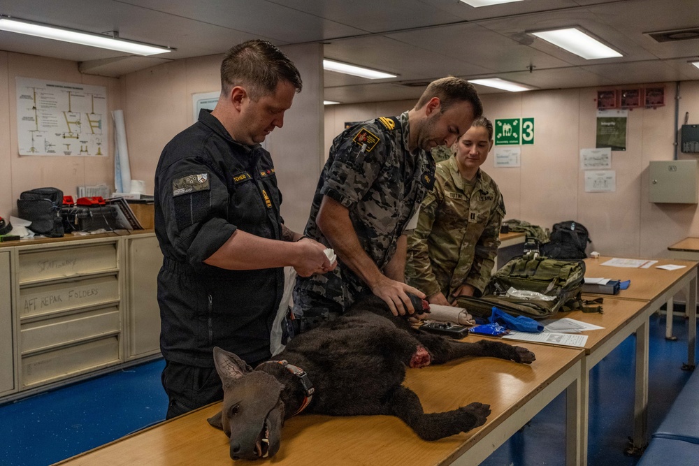 Pacific Partnership 2026 veterinarian conducts canine TCCC training aboard Royal Australian Navy HMAS Choules (L100)