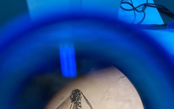 NAMRU EURAFCENT Manuscript Published in Medical and Veterinary Entomology