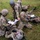 Arkansas Guardsmen Learn Chaos Control