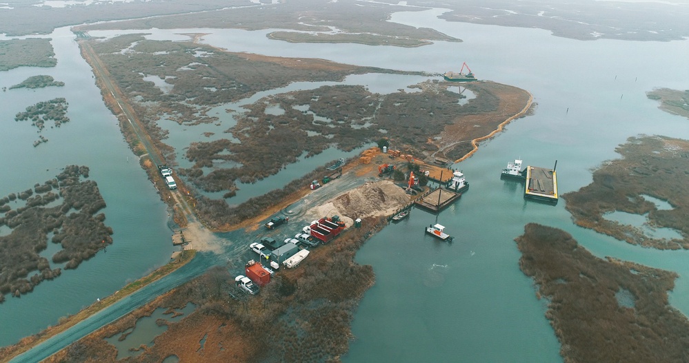 Early Look at  Deal Island Wildlife Management Area