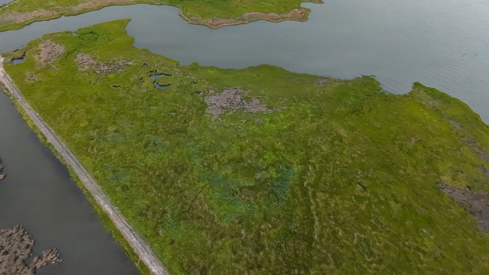 From Dredge to Delta: USACE, Partners Restore Over 70 Acres of Wetlands at Deal Island Wildlife Management Area