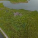 From Dredge to Delta: USACE, Partners Restore Over 70 Acres of Wetlands at Deal Island Wildlife Management Area