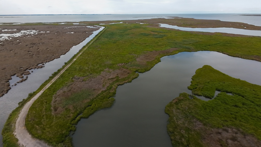 From Dredge to Delta: USACE, Partners Restore Over 70 Acres of Wetlands at Deal Island Wildlife Management Area