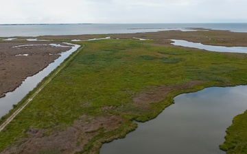 From Dredge to Delta: USACE, Partners Restore Over 70 Acres of Wetlands at Deal Island Wildlife Management Area