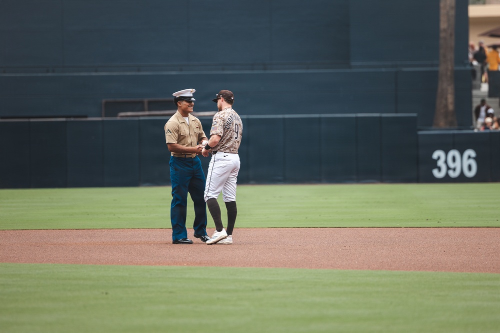 HMLA-169 participates in the San Diego Padres Military Appreciation Game