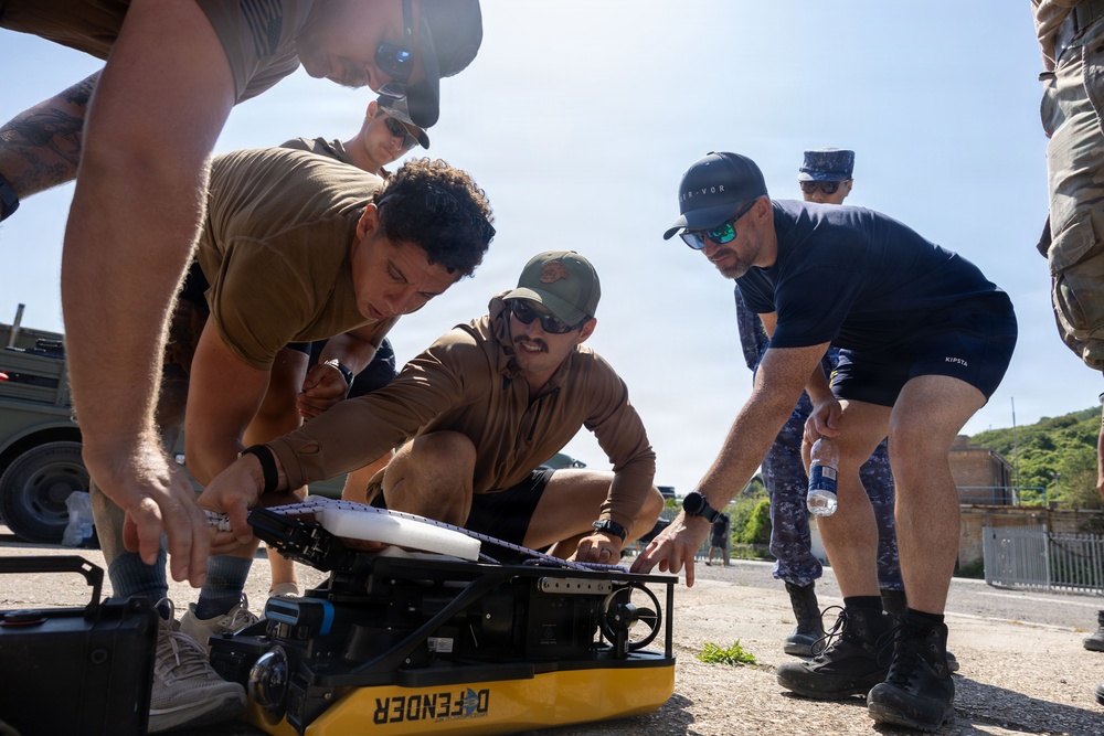U.S. and Allied Nations explore VIPER Mine Disposal System at Sea Breeze 26