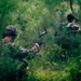 1st Special Forces Group (Airborne) conducts ambush training during Tahoma Strike