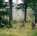1st Special Forces Group (Airborne) conducts ambush training during Tahoma Strike