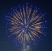 Past commanders return to Fort Meade to celebrate nation’s 250th birthday