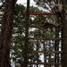 Competitors Demonstrate Strength and Agility During Best Warrior Competition 2026