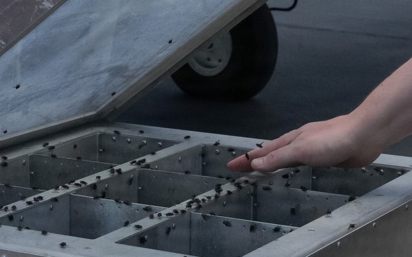 Texas Military Department's New World Screwworm Response