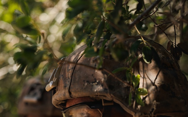 Alpha Company Conducts WARFEX