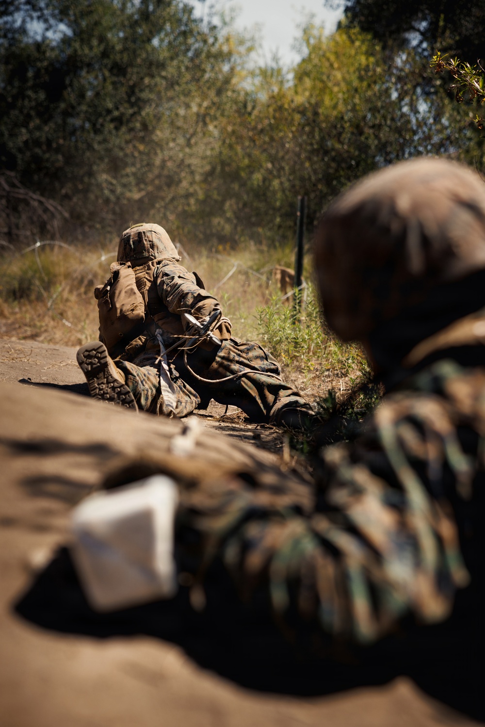 Alpha Company Conducts WARFEX