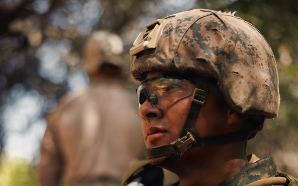 Alpha Company Conducts WARFEX