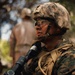 Alpha Company Conducts WARFEX