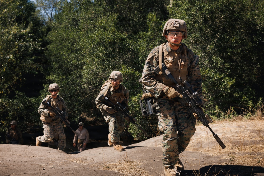 Alpha Company Conducts WARFEX