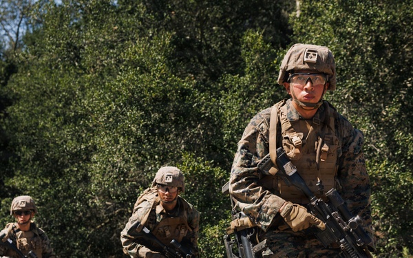 Alpha Company Conducts WARFEX