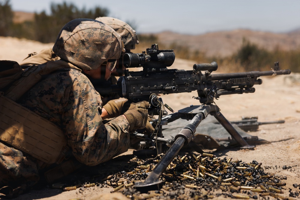 Alpha Company Conducts WARFEX