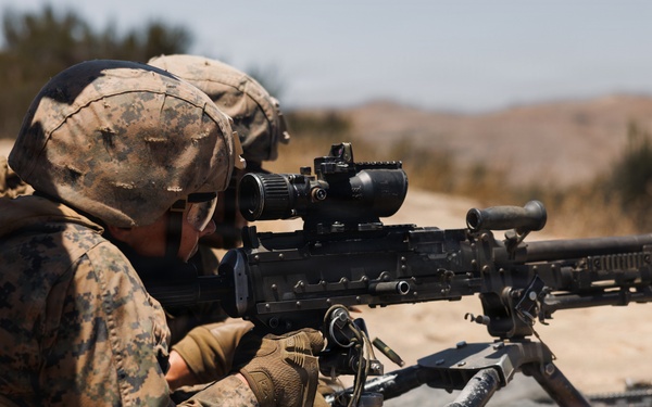 Alpha Company Conducts WARFEX