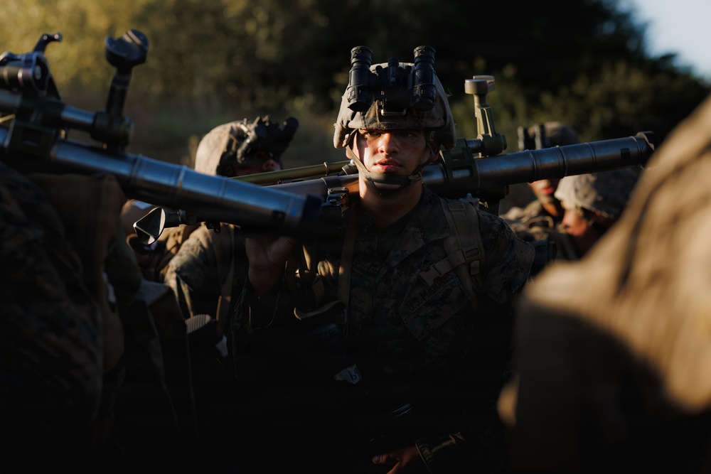 Alpha Company Conducts WARFEX