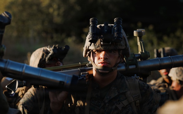 Alpha Company Conducts WARFEX