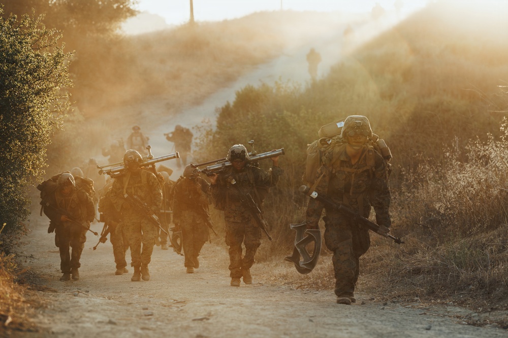 Alpha Company Conducts WARFEX