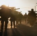 Alpha Company Conducts WARFEX