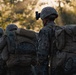 Alpha Company Conducts WARFEX