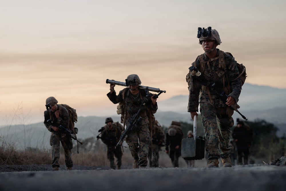 Alpha Company Conducts WARFEX