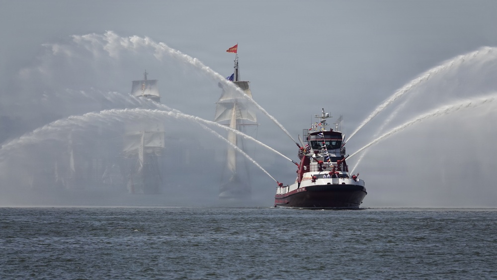 International Naval Review 250