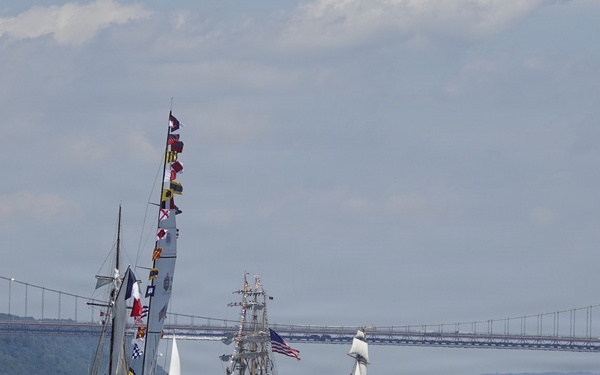 International Naval Review 250