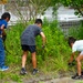 SRF-JRMC volunteers perform community service at Miura Shiratori-en