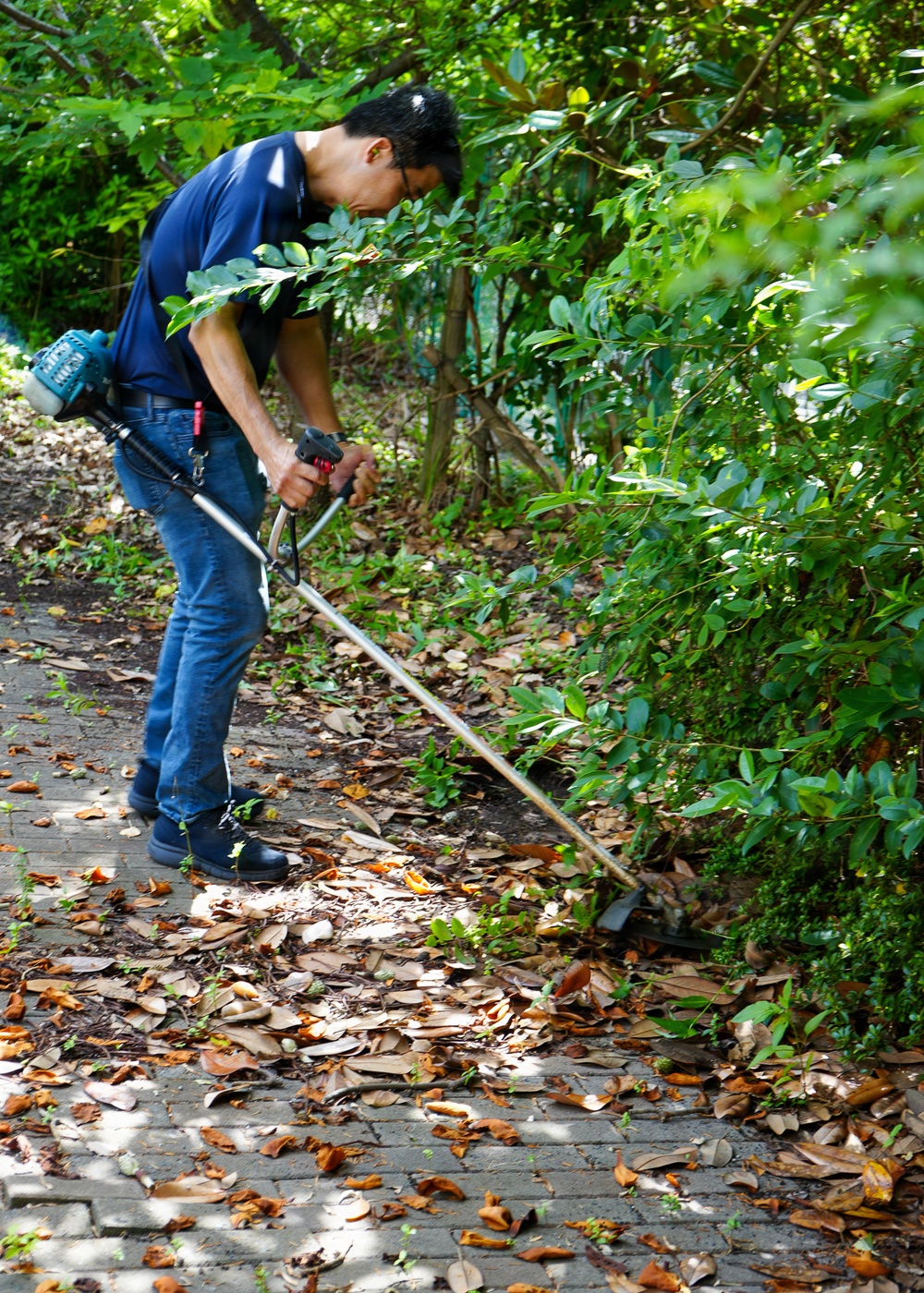 SRF-JRMC volunteers perform community service at Miura Shiratori-en