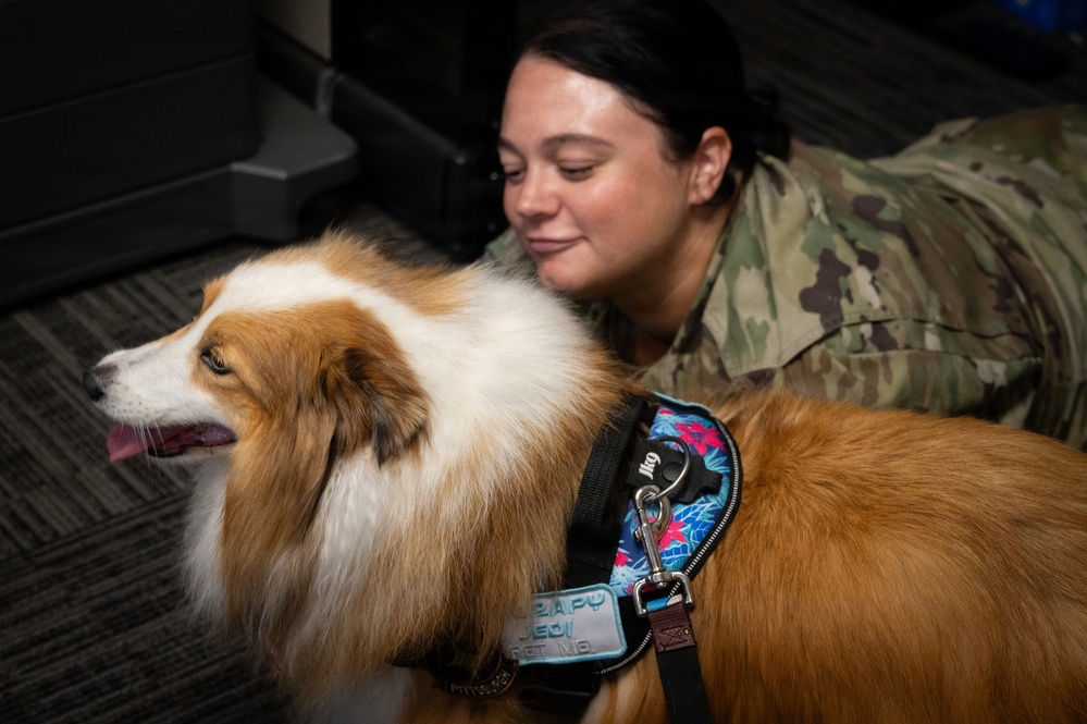 A New Tail at the 171st ARW