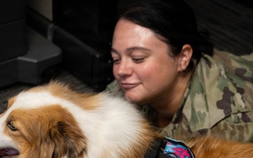 A New Tail at the 171st ARW