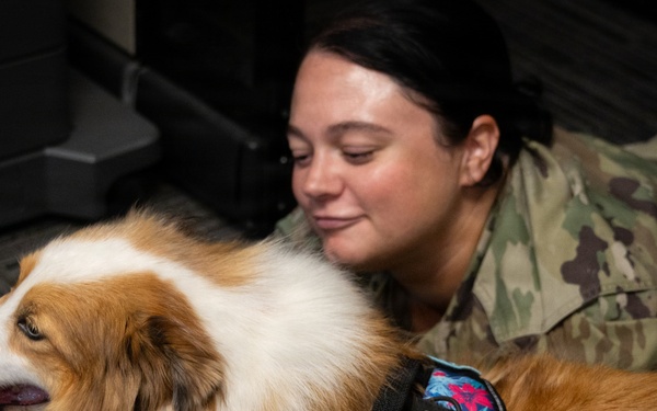 A New Tail at the 171st ARW